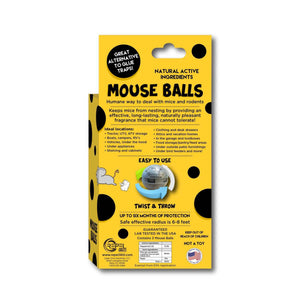 Mouse ball box rear