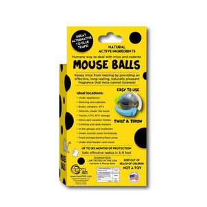 Mouse ball box rear