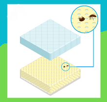 Load image into Gallery viewer, BedBug 360 ArthroShield Box Spring Encasement