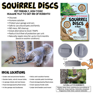 squirrel disc poster