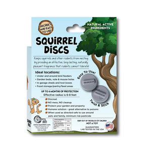 squirrel disc box rear